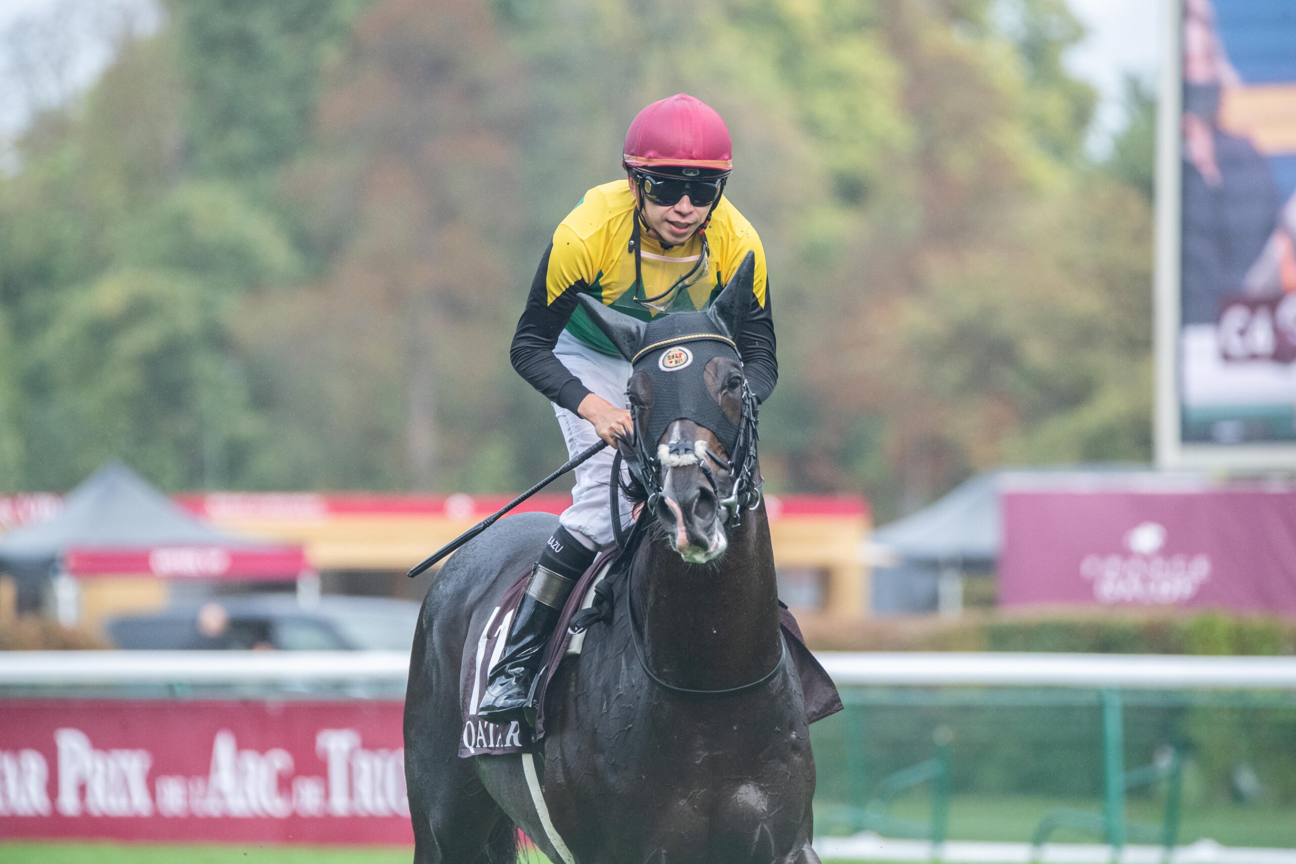 タイトルホルダー　2022 天皇賞春　現地単勝馬券　的中馬券 2022年 天皇賞（春） JRA