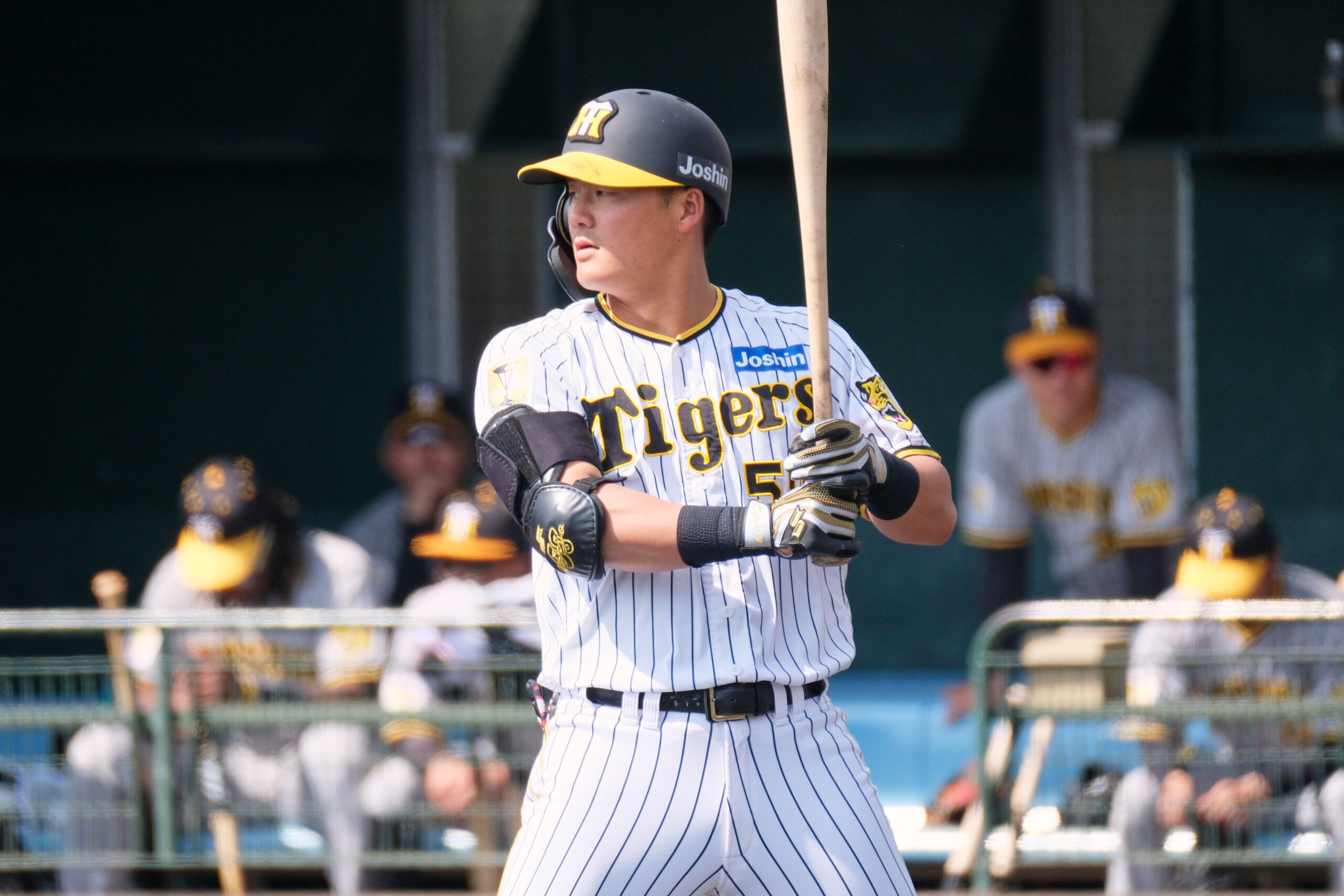 レフトの人もうかうかしてられへん」…阪神の前川右京がノイジーを