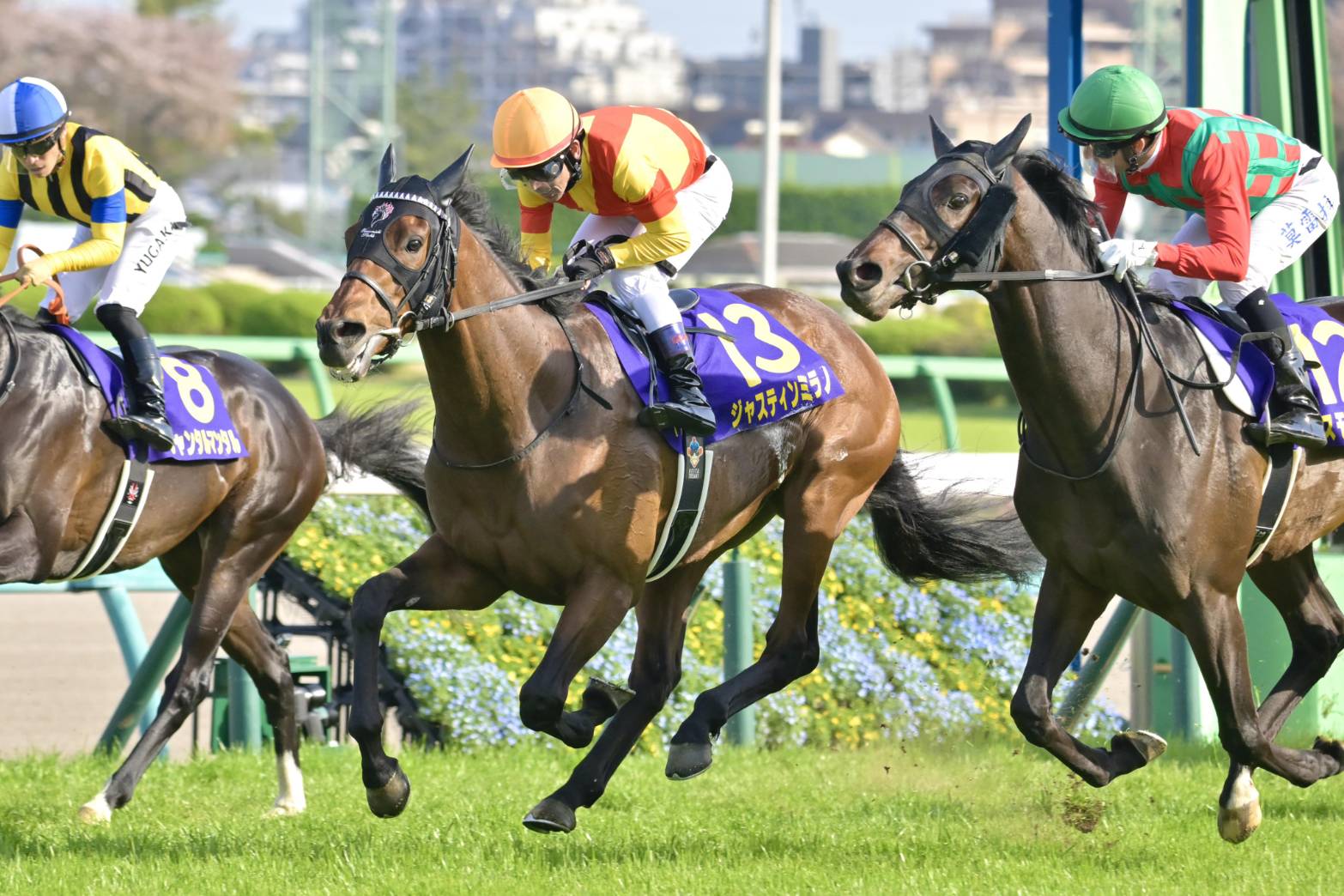 今日ダービー！無敗の“大本命”皐月賞馬ジャスティンミラノに死角はないのか…この10年で1番人気馬の勝利は2回だけ –  本格スポーツ議論ニュースサイト「RONSPO」