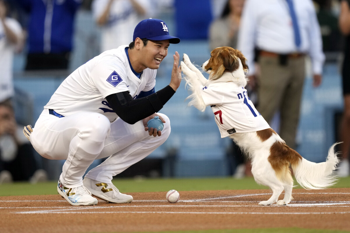 大谷が始球式を見事に務めた愛犬のデコピンとハイタッチ（写真・ＡＰ/アフロ）