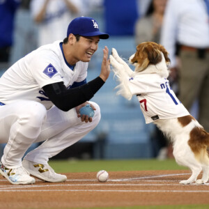 大谷が始球式を見事に務めた愛犬のデコピンとハイタッチ（写真・ＡＰ/アフロ）