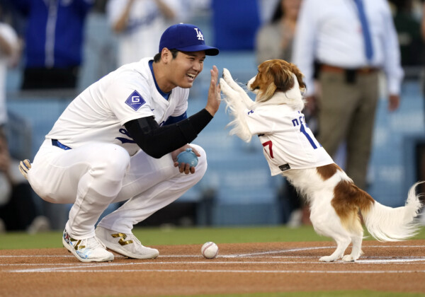 大谷が始球式を見事に務めた愛犬のデコピンとハイタッチ（写真・ＡＰ/アフロ）