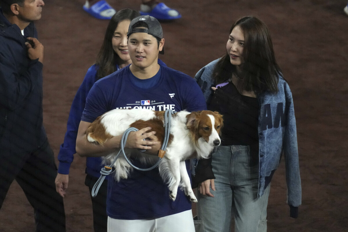 大谷翔平は妻の真美子さんと愛犬デコピンと共に優勝に酔いしれた（写真・AP/アフロ）