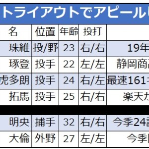 トライアウトでアピールに成功した4人