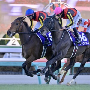 有馬記念を制したのは5番人気の3歳牝馬レガレイラだった。万馬券の大荒れ決着となった