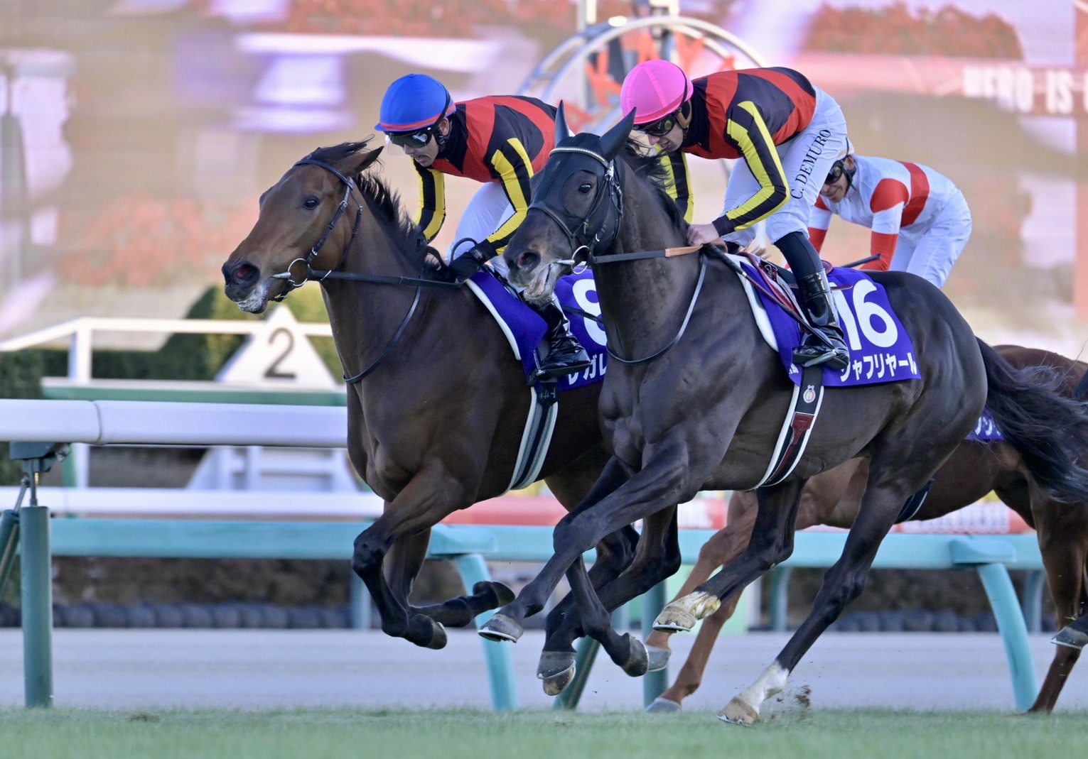 有馬記念の馬 なぜ有馬記念は3歳牝馬のレガレイラが18㎝差で勝ち1番人気が沈む万馬券