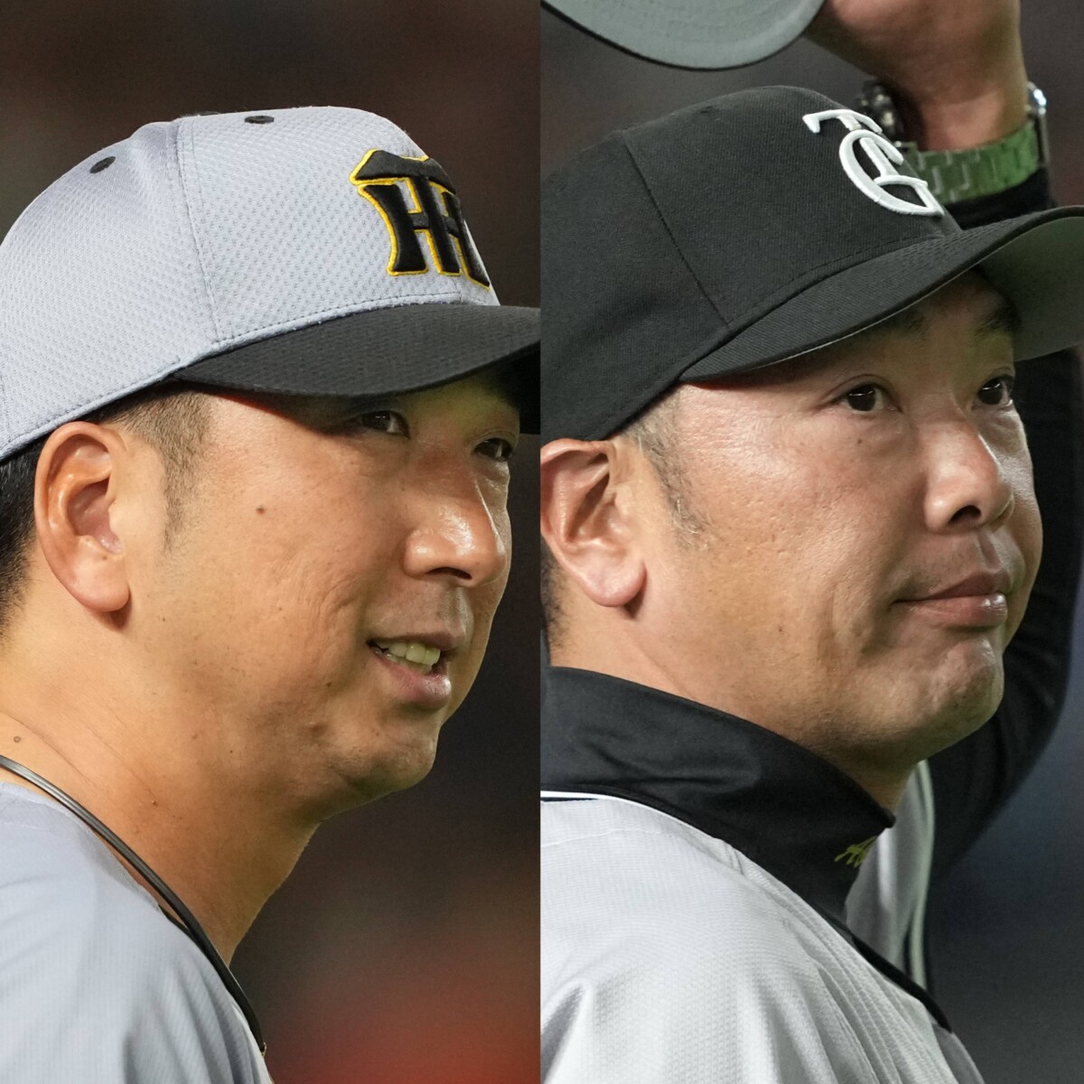 球界大御所が評価したのは藤川監督が率いる阪神。阿部巨人には厳しい見解（写真：Imagn/ロイター/アフロ）