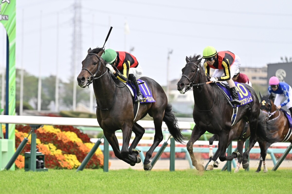今日日本ダービー!皐月賞を勝ったミュージアムマイル(左)の2冠か、1番人気で2着に敗れたクロワデュノール(右)の逆襲か