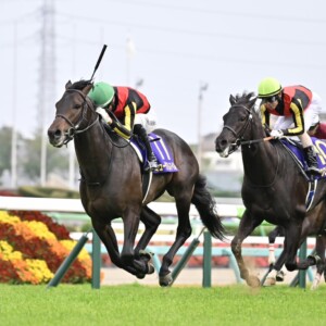 今日日本ダービー！皐月賞を勝ったミュージアムマイル（左）の2冠か、1番人気で2着に敗れたクロワデュノール（右）の逆襲か