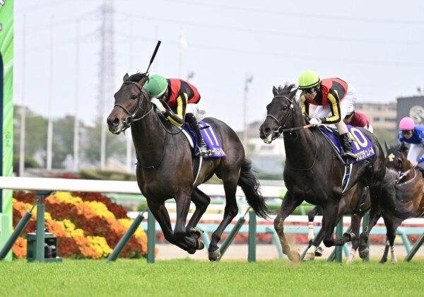 今日日本ダービー！皐月賞を勝ったミュージアムマイル（左）の2冠か、1番人気で2着に敗れたクロワデュノール（右）の逆襲か