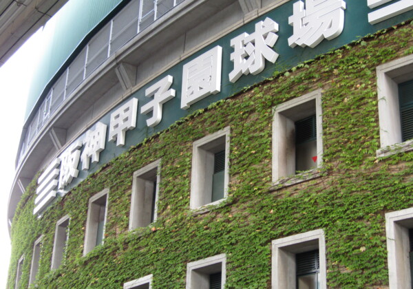 阪神の連勝は甲子園でのヤクルト戦でストップ