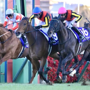 レガレイラは人気に応えられるのか