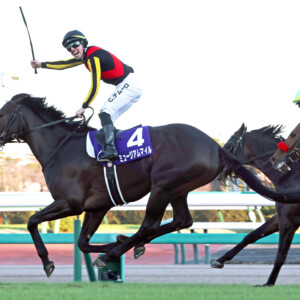 有馬を制したのは3番人気のミュージアムマイルだった（写真：スポーツ報知/アフロ）