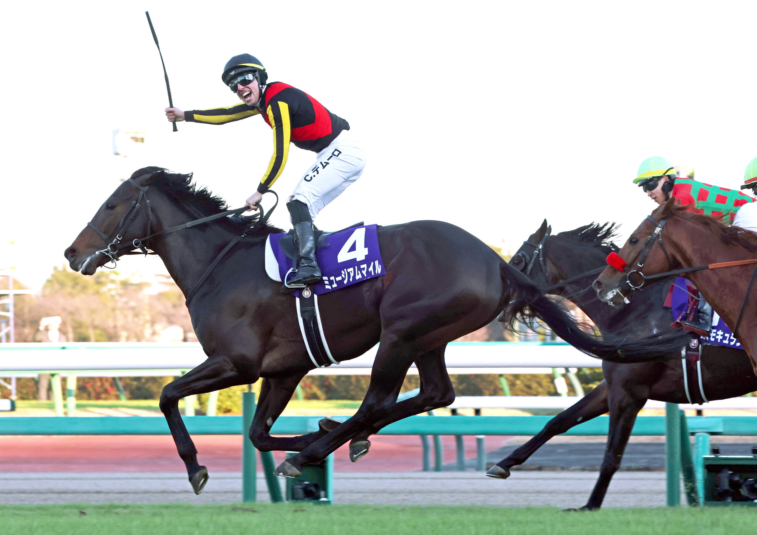 なぜ有馬記念は荒れたのか…勝ったのはミュージアムマイル…4着に沈んだ