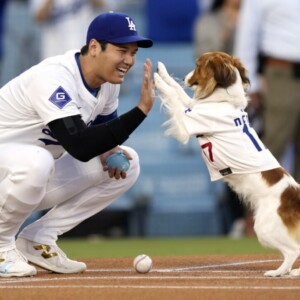 大谷が米番組に出演してデコピンの絵本出版は愛娘が生まれたことがきっかけだったと明かす（写真・ＡＰ/アフロ）