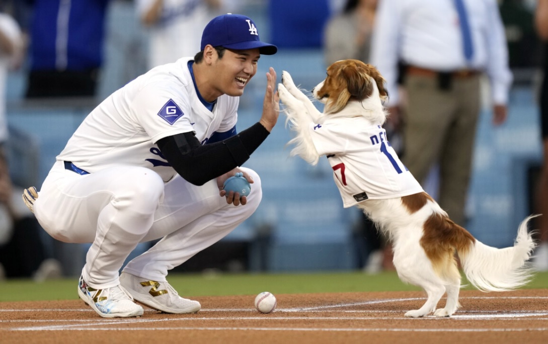 大谷が米番組に出演してデコピンの絵本出版は愛娘が生まれたことがきっかけだったと明かす（写真・ＡＰ/アフロ）