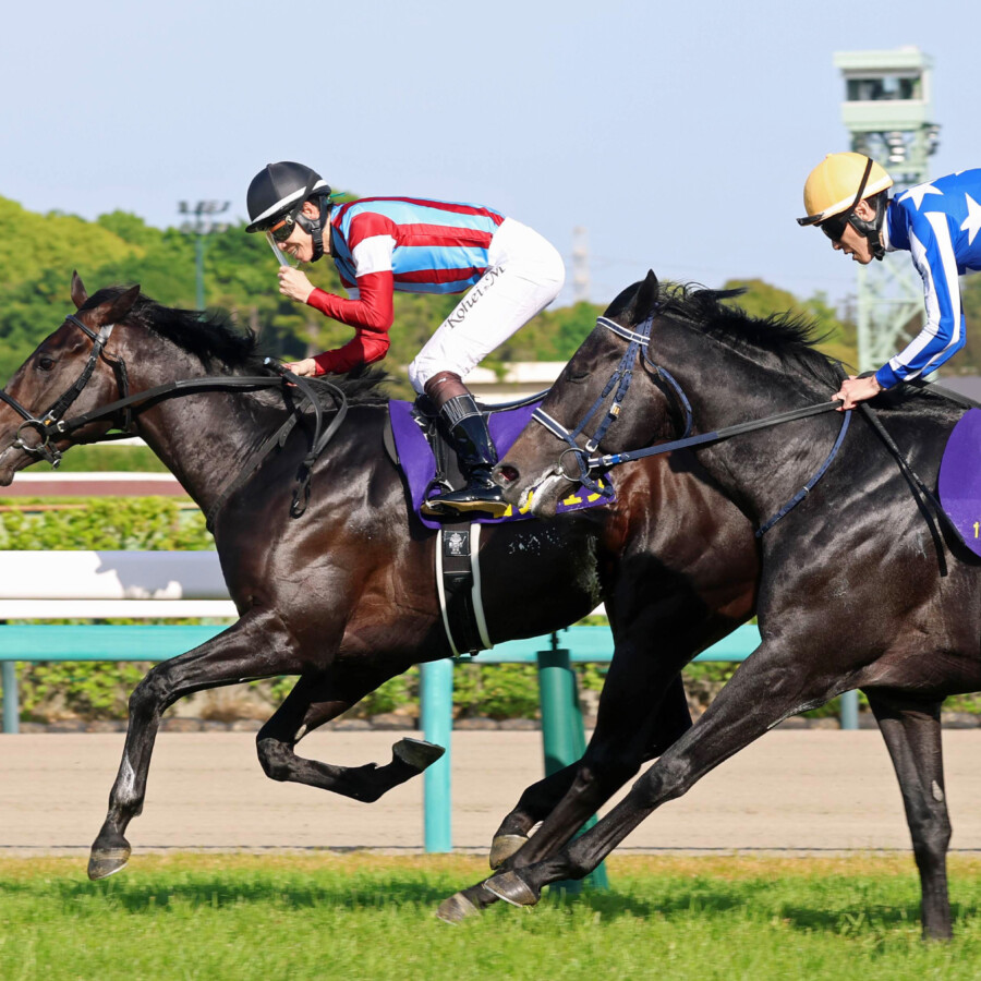 皐月賞を制したダービー一番人気のロブチェンは「黒歴史」を跳ね返すことができるのか？（写真・スポーツ報知/アフロ）