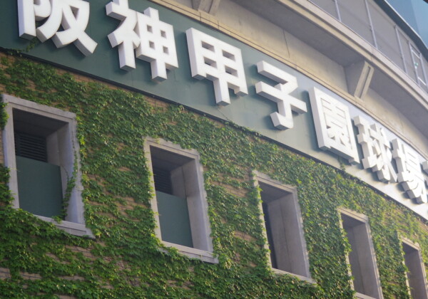 楽天が甲子園で阪神に完敗