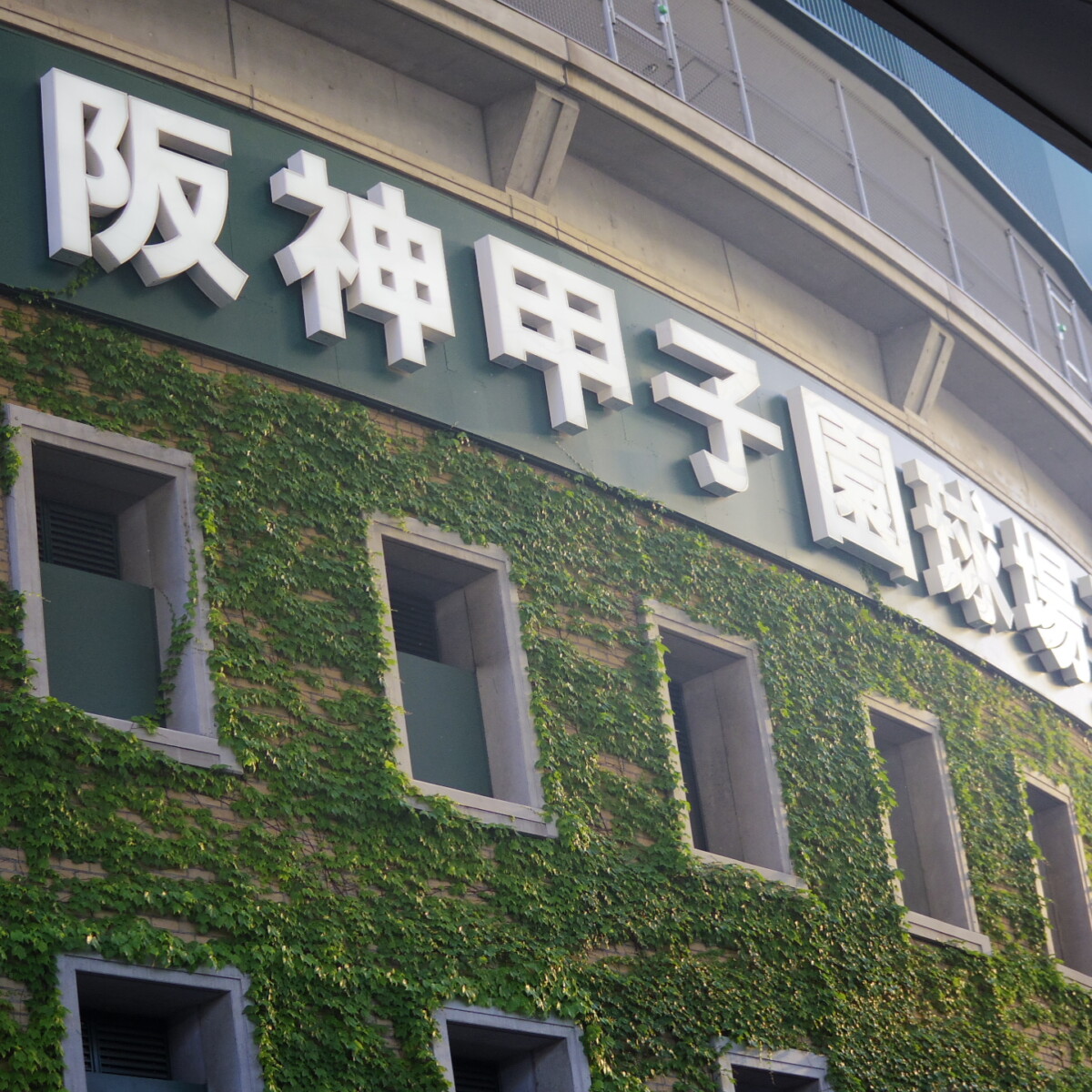阪神が村上頌樹の完封、佐藤輝明の一発というエースと4番で巨人を倒して同率首位で前半戦を折り返した