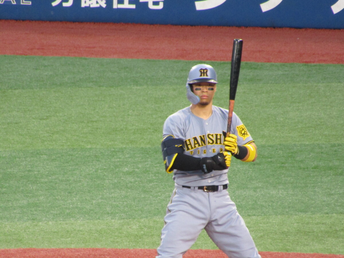 佐藤輝明が4三振（写真は資料）