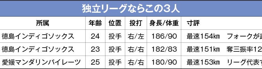 独立リーグのドラフト候補