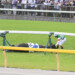 日本ダービーで2番人気だったスキルヴィングが入線直後に倒れた。ルメール騎手が心配そうに駆け寄るが、急性心不全で天国へ旅立った(写真・東京スポーツ/アフロ）